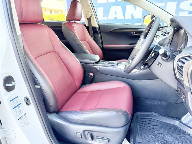 LEXUS NX300h AWD