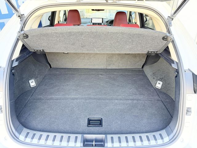 LEXUS NX300h AWD