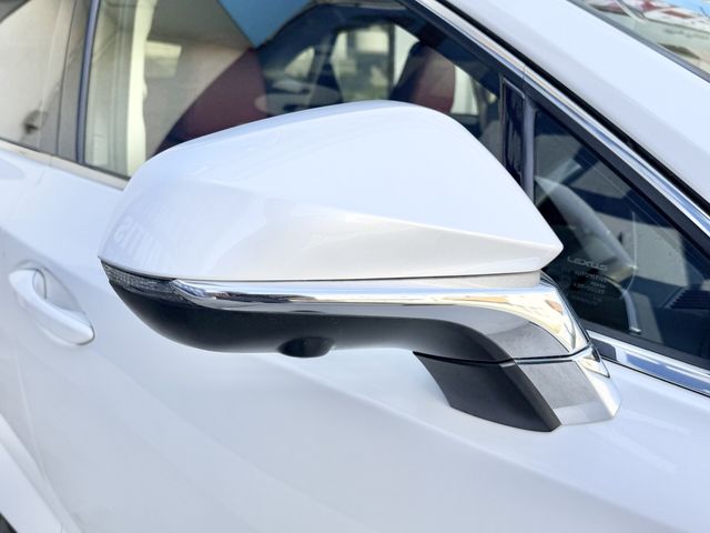 LEXUS NX300h AWD
