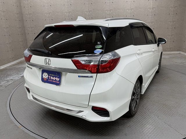SHUTTLE HYBRID