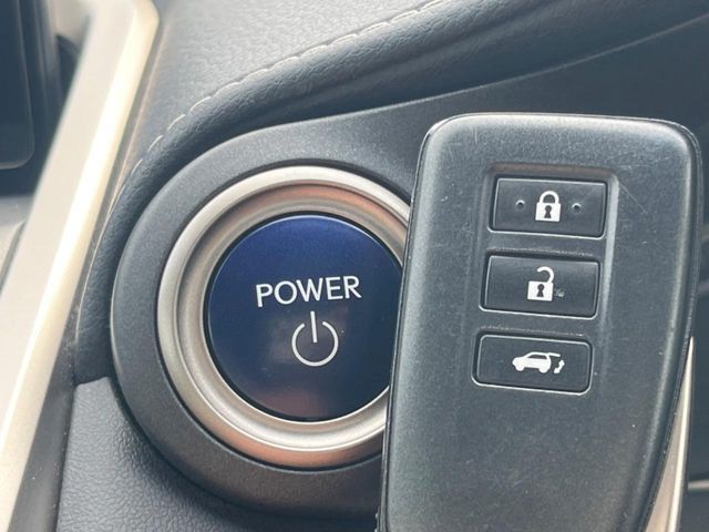 LEXUS NX300h