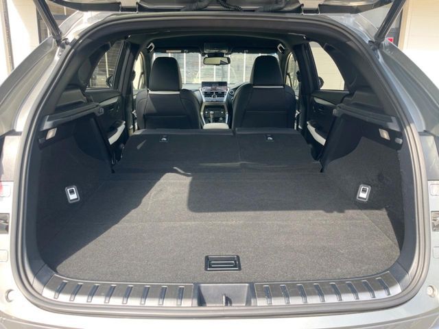 LEXUS NX300h