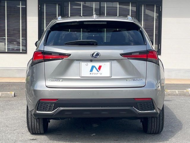 LEXUS NX300h