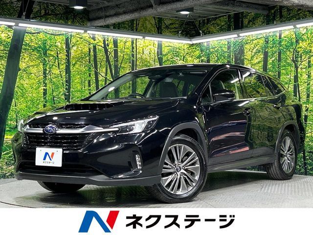 LEVORG LAYBACK