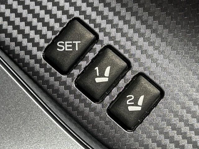 LEVORG LAYBACK