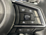 LEVORG LAYBACK