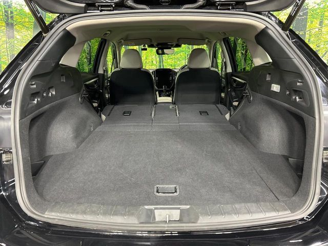 LEVORG LAYBACK
