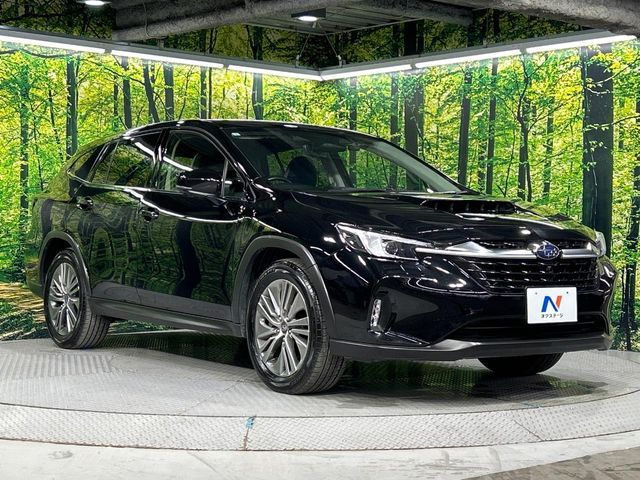 LEVORG LAYBACK