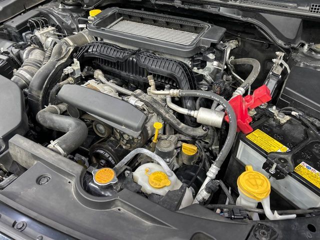 LEVORG LAYBACK