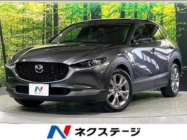 CX-30