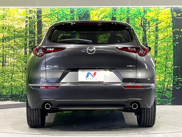 CX-30