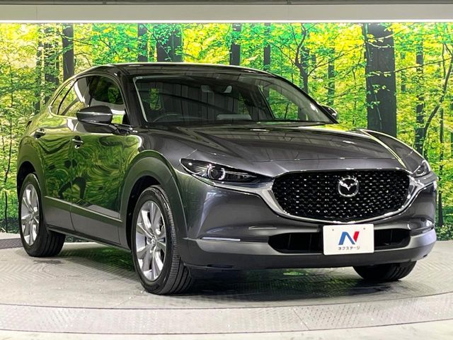 CX-30