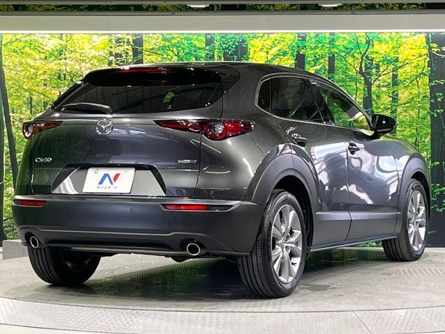 CX-30