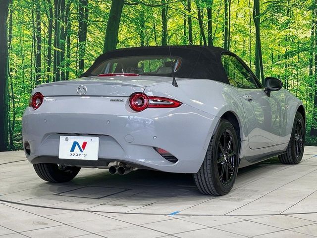 ROADSTER
