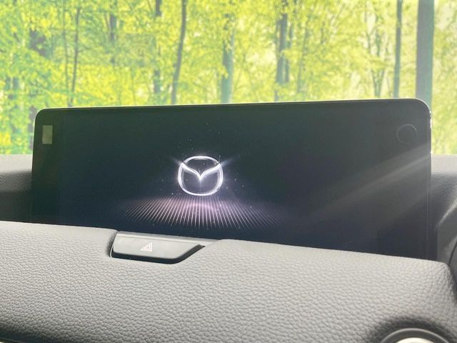 CX-80