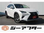 LEXUS NX300