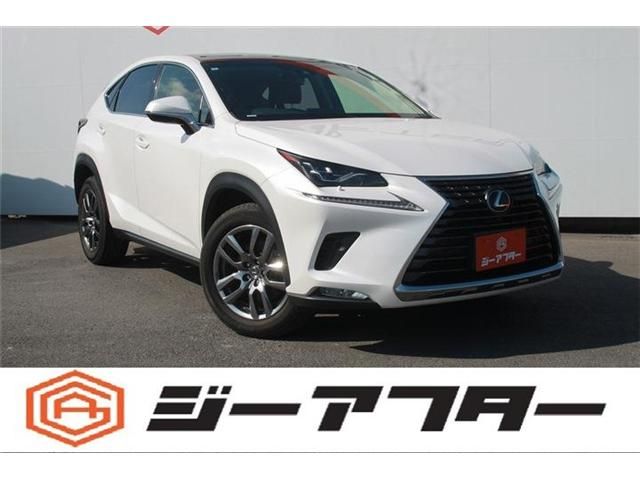 LEXUS NX300