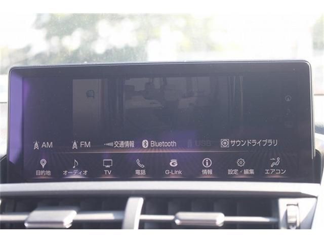 LEXUS NX300