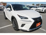 LEXUS NX300