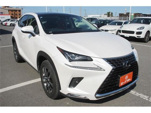 LEXUS NX300