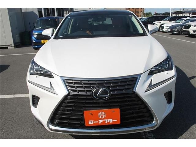 LEXUS NX300