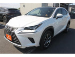 LEXUS NX300