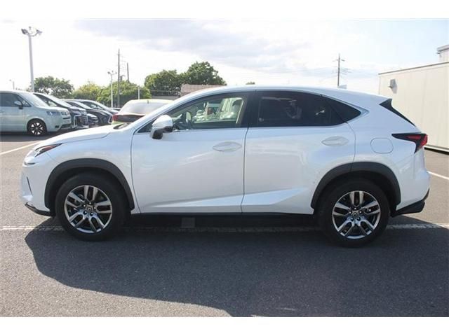 LEXUS NX300