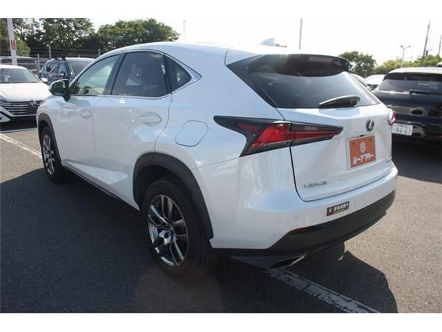 LEXUS NX300