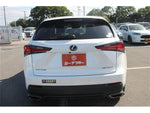 LEXUS NX300