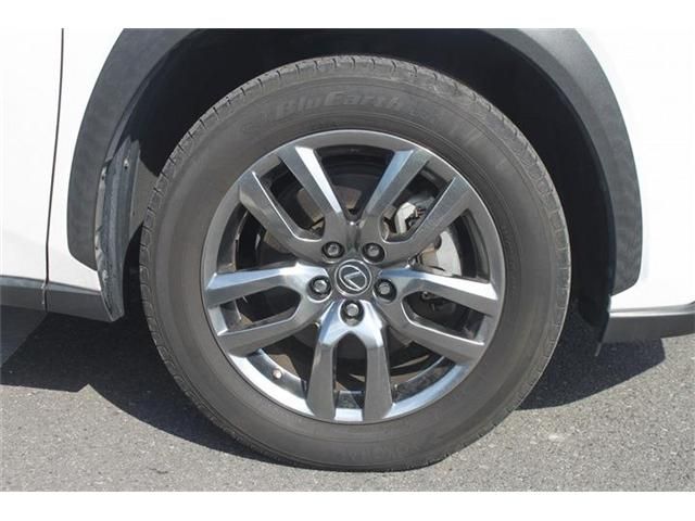 LEXUS NX300