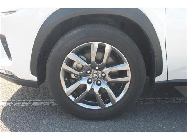 LEXUS NX300