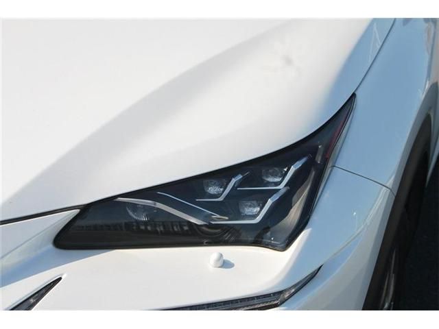 LEXUS NX300