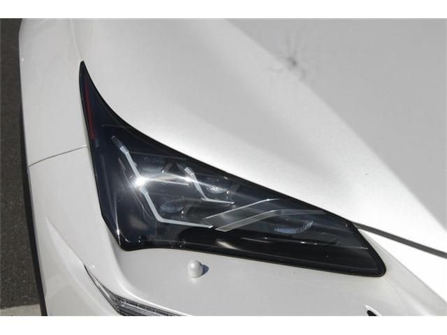 LEXUS NX300