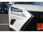 LEXUS NX300