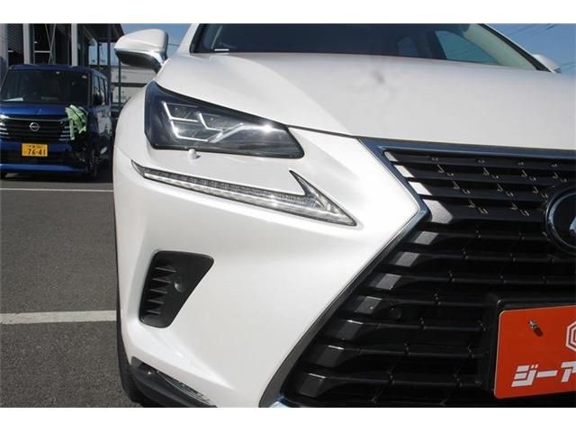 LEXUS NX300