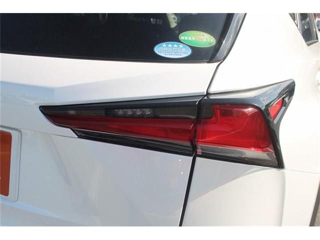 LEXUS NX300