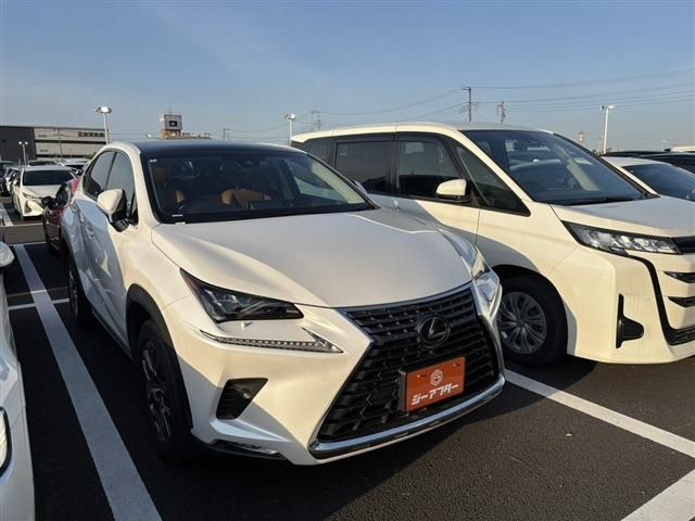 LEXUS NX300