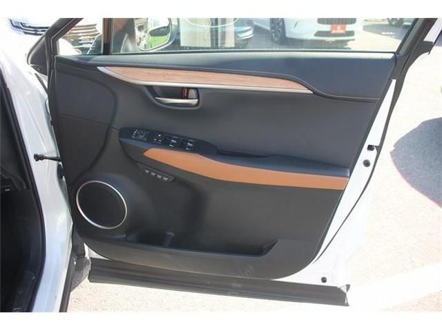 LEXUS NX300
