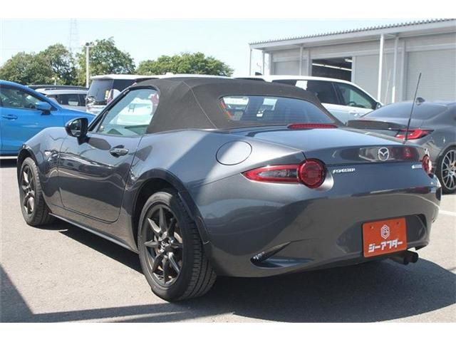 ROADSTER