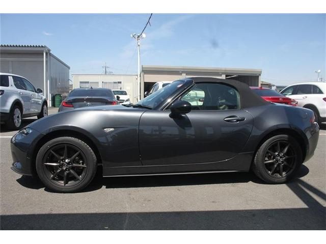 ROADSTER
