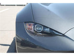 ROADSTER