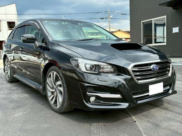 LEVORG