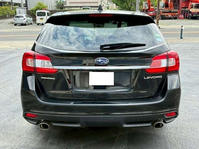 LEVORG