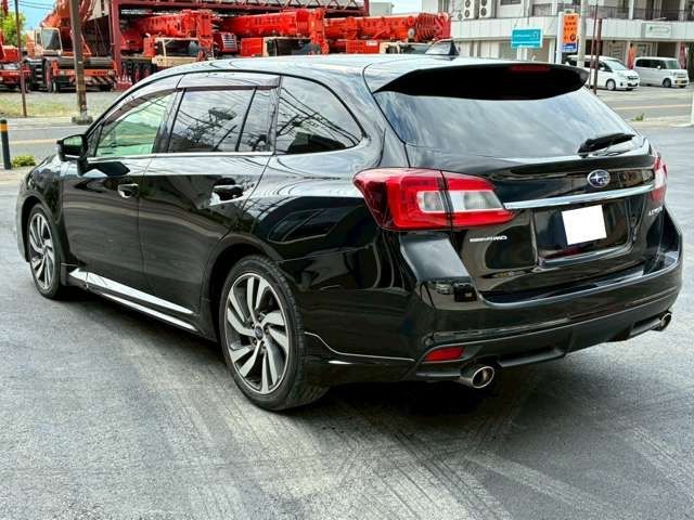 LEVORG