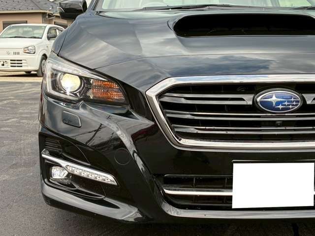 LEVORG