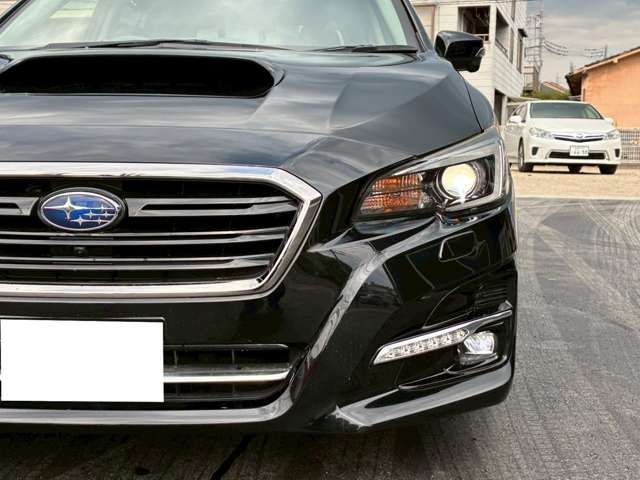 LEVORG