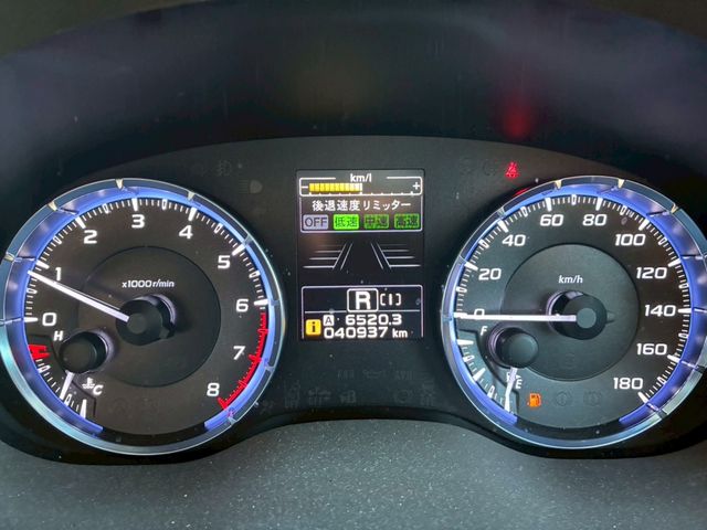 LEVORG