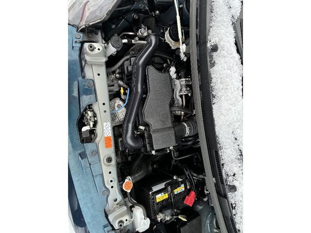 THOR 4WD