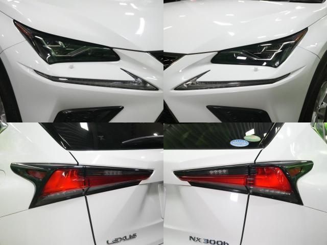 LEXUS NX300h