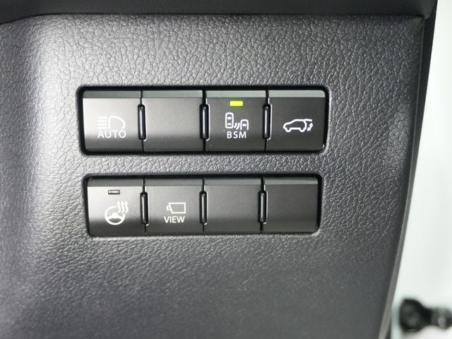 LEXUS NX300h